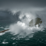 2025-06-15 本地新聞